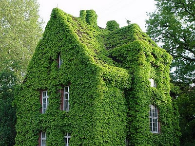 Les trouvailles de lInternet pour bien commencer la semaine #50 green ivy covered house ivy