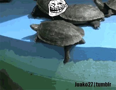 http://www.madmoizelle.com/wp-content/uploads/2012/01/trollfaceturtle.gif