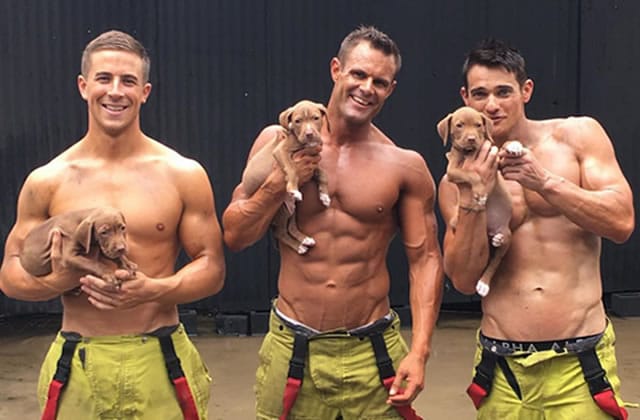 Des muscles et des chiots dans le calendrier 2017 des pompiers australiens  - Madmoizelle