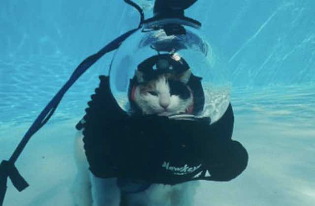 5 Trucs Wtf Que J Ai Appris Pendant Mon Stage D Apnee