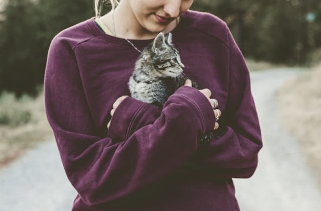 Mort D Un Chat Quand La Tristesse Du Deuil Ne S En Va Pas