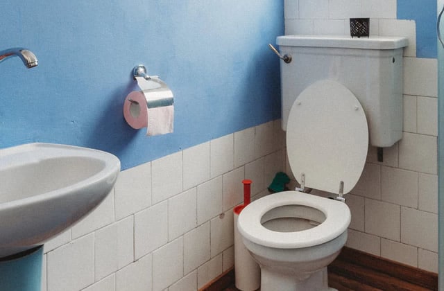 S'essuyer sans papier toilettes : comment arrêter le PQ avec A.I.M.