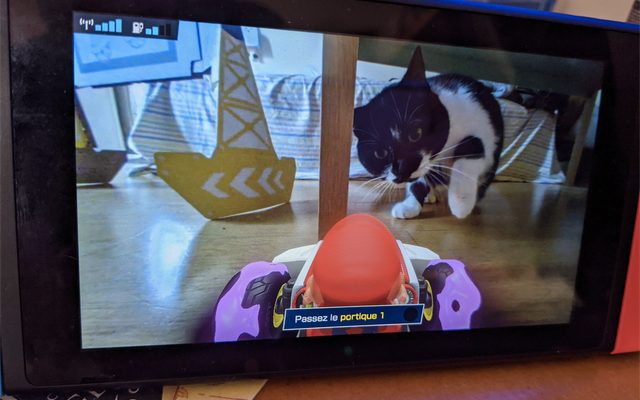 mario-kart-home-circuit-chat-petit-appartement-640x400.jpg
