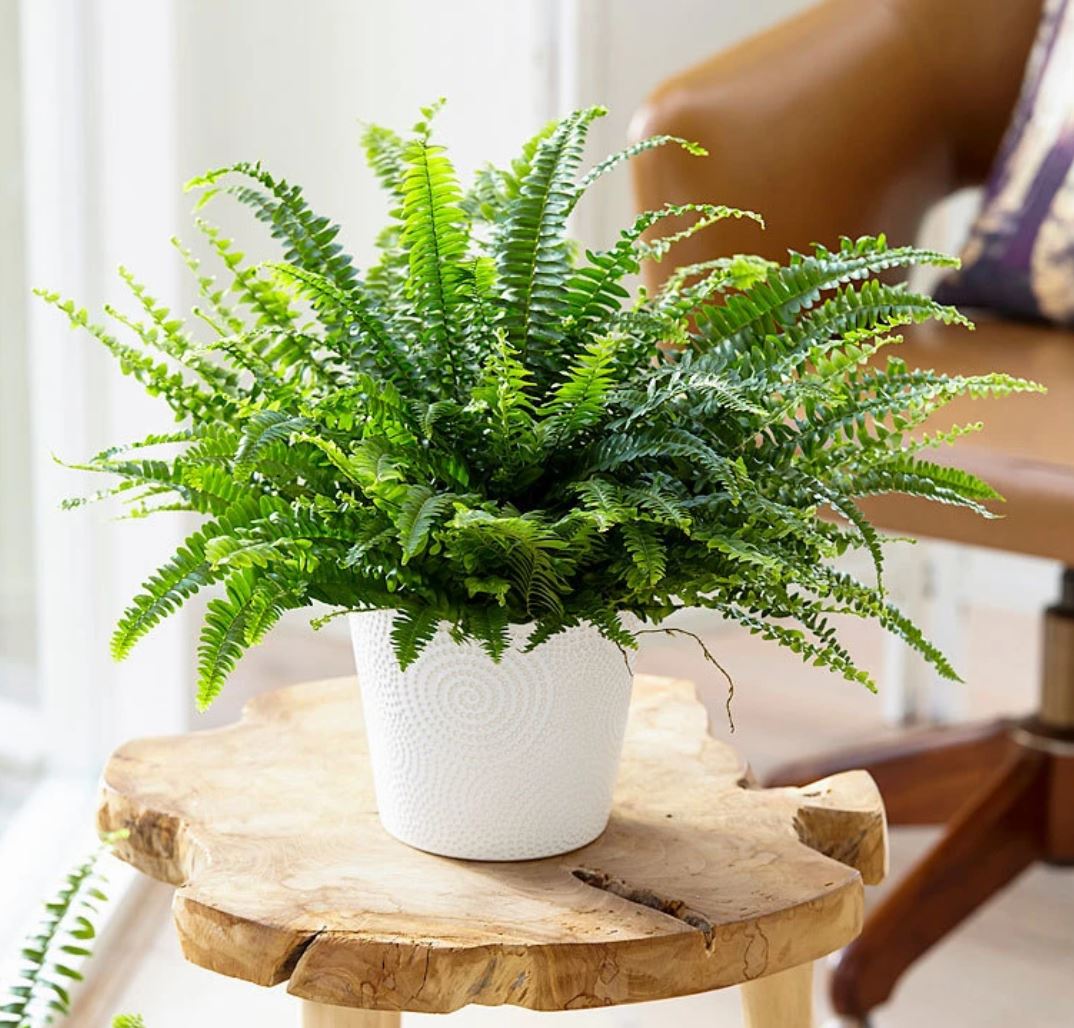 8 articles déco pour transformer votre salle de bain