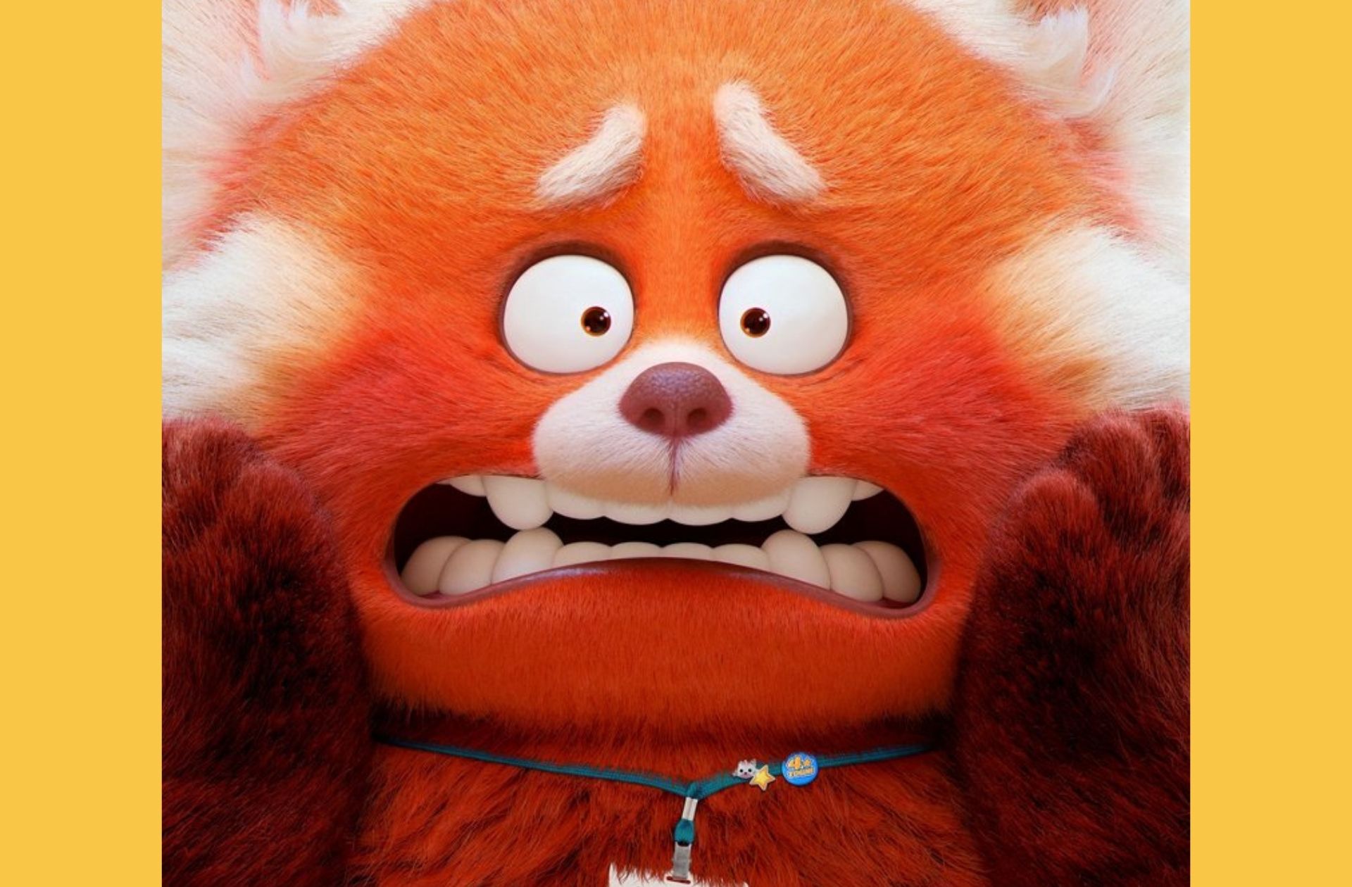 Une ado qui se transforme en panda roux ? OK, Pixar, bien joué, on veut  voir « Alerte rouge » - Madmoizelle