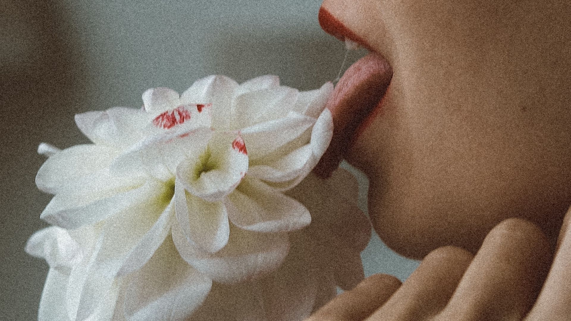 langue sur une fleur touffue