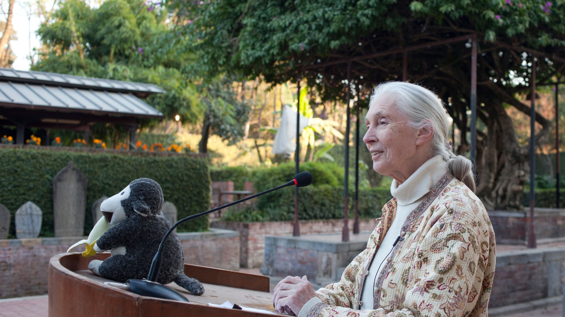 Jane Goodall, la plus célèbre des primatologues, a une Barbie à son effigie