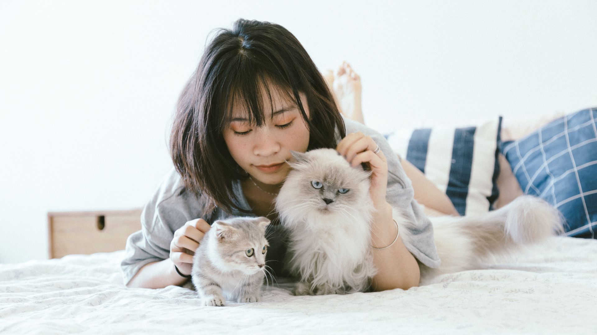 Femme avec deux chats sur son lit