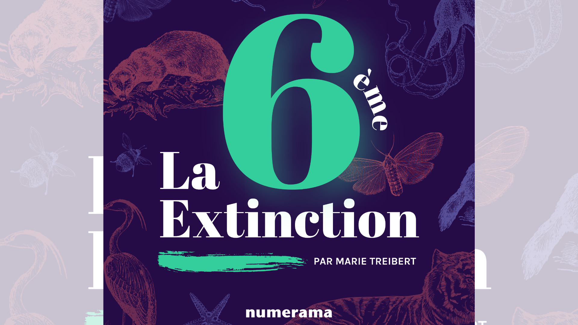 « La 6e extinction », le podcast de Numerama qui explore les menaces qui pèsent sur le vivant