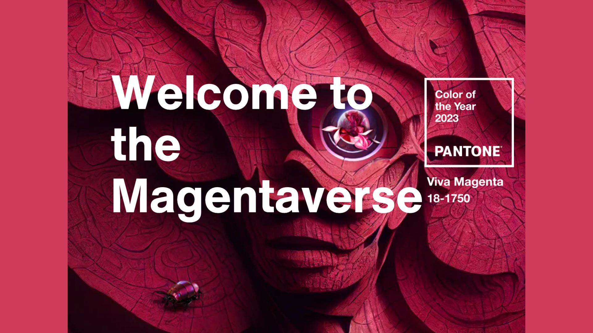 Le Viva Magenta, élu couleur de l’année 2023 par Pantone