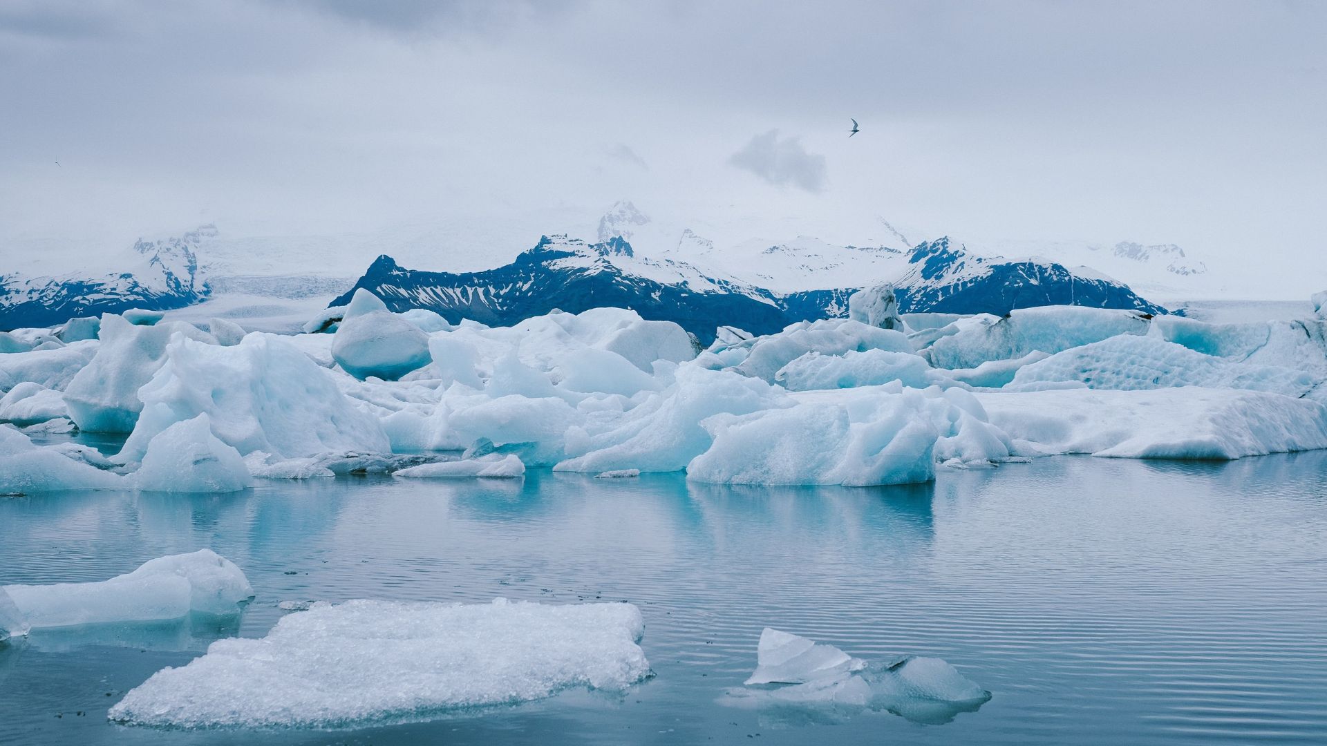 La moitié des glaciers sont condamnés à disparaître d’ici 2100 (mais il y a de l’espoir) 